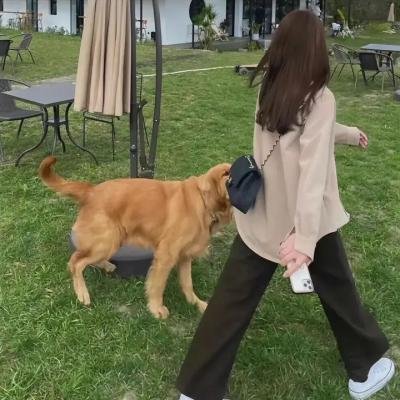 杀机入侵