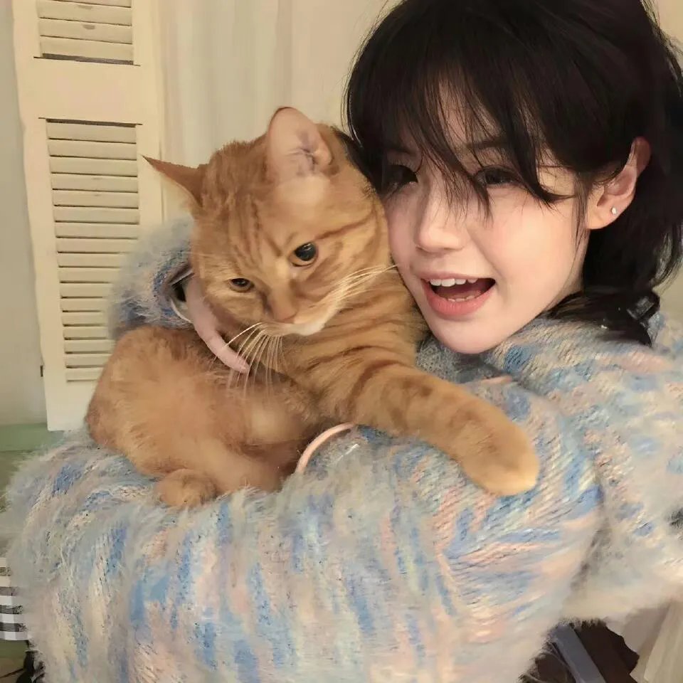 爱的猎犬